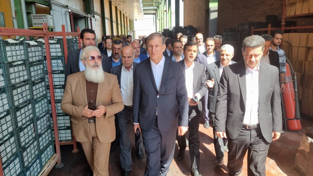 photo_4_2025-10-11_10-01-29